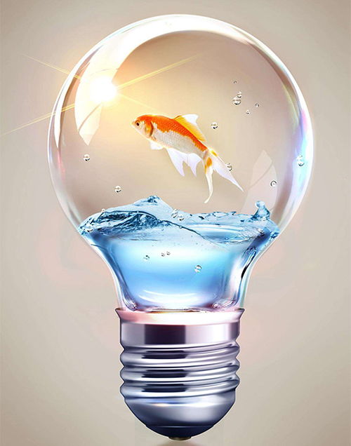 中國照明 化劣勢為優勢 巧用促銷聚集人氣