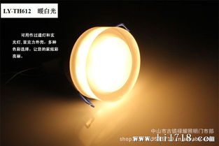 祿耀3 1W大功率LED天花燈 亞克力筒燈引領室內照明新風尚